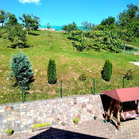 Casa Anca Hotel Sighetu Marmaţiei Exterior foto