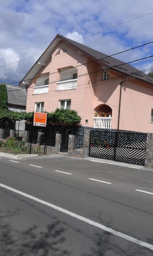 Casa Anca Hotel Sighetu Marmaţiei Exterior foto