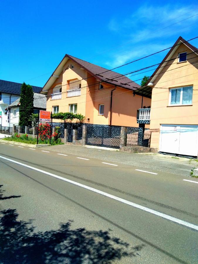 Casa Anca Hotel Sighetu Marmaţiei Exterior foto